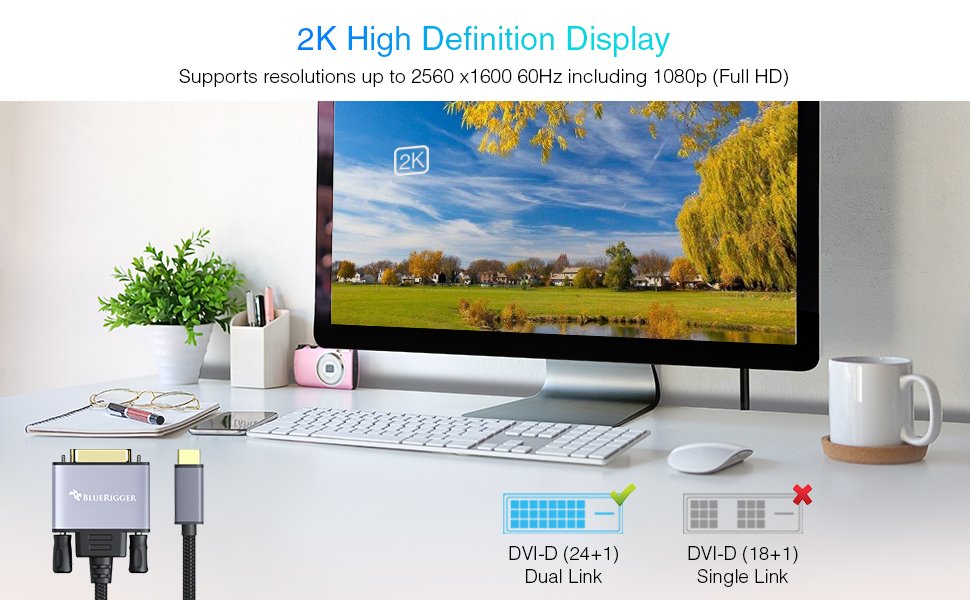 TYPE C DVI