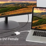 CBL-MINIDP-DVI-M2M-6FT A+ (10)