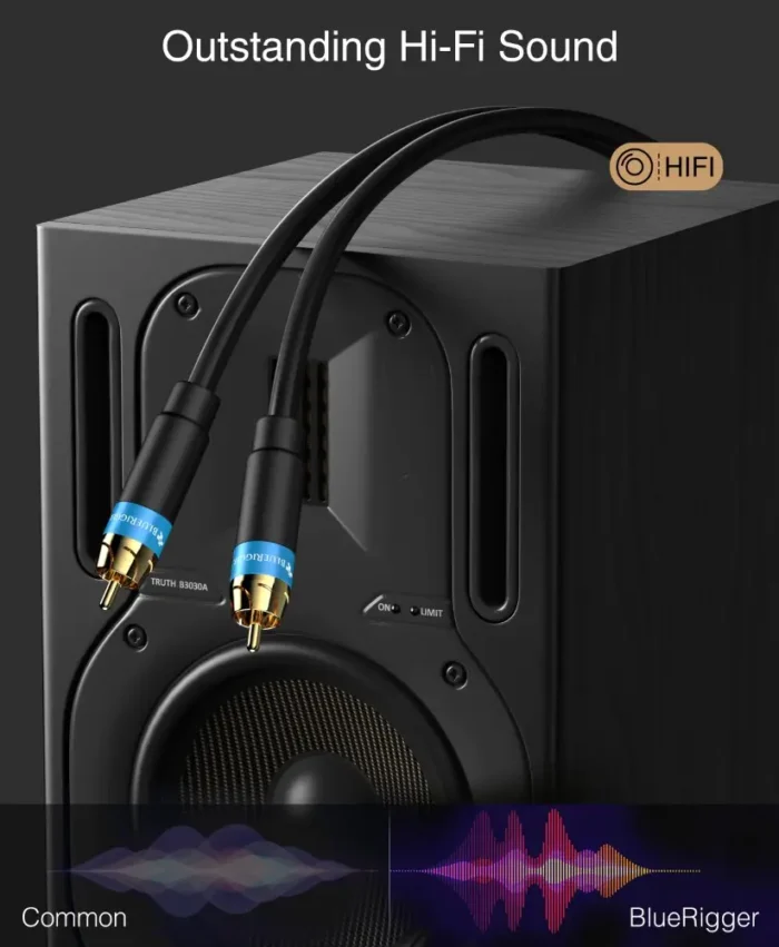 SUBWOOFER CABLE A+ (2)