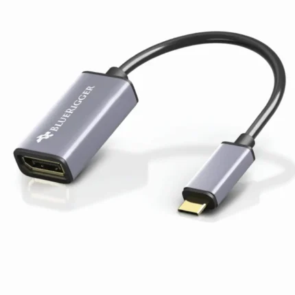 USB-C to DP Adapter A+ (1)