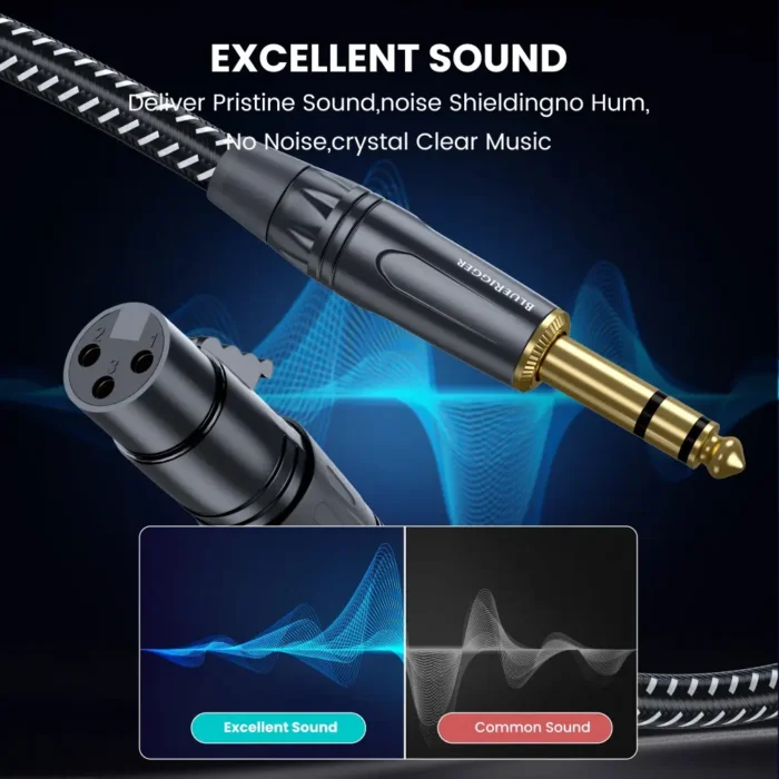 XLR to 6.35 A+ (2)