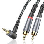 3.5 mm to 2 rca